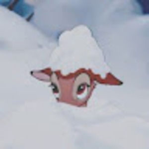 Meet your Posher, Katherine